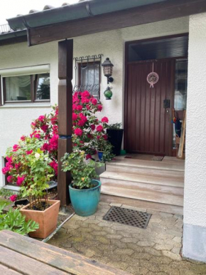 Ferienwohnung Panorama